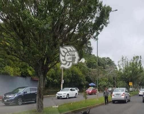 Bache tumba defensa a carro en avenida Arco Sur; problema sin resolver en Xalapa