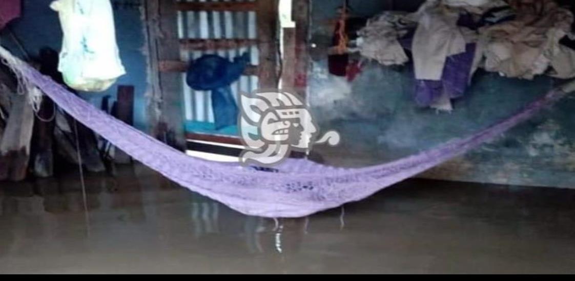 Drenaje azolvado afecta viviendas de Tlacuilolapan
