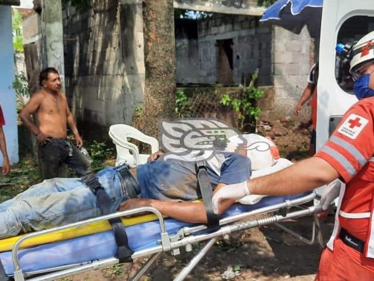 Cayó mientras desramaba árbol en Veracruz