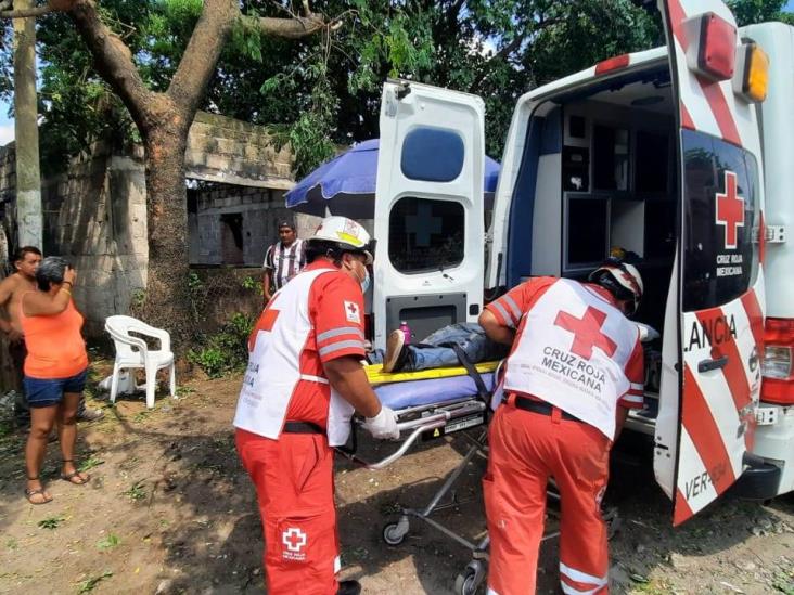 Cayó mientras desramaba árbol en Veracruz