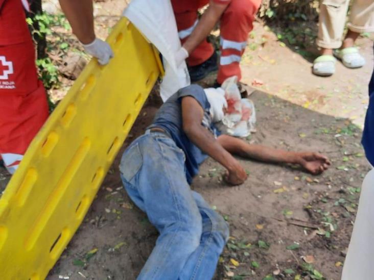 Cayó mientras desramaba árbol en Veracruz