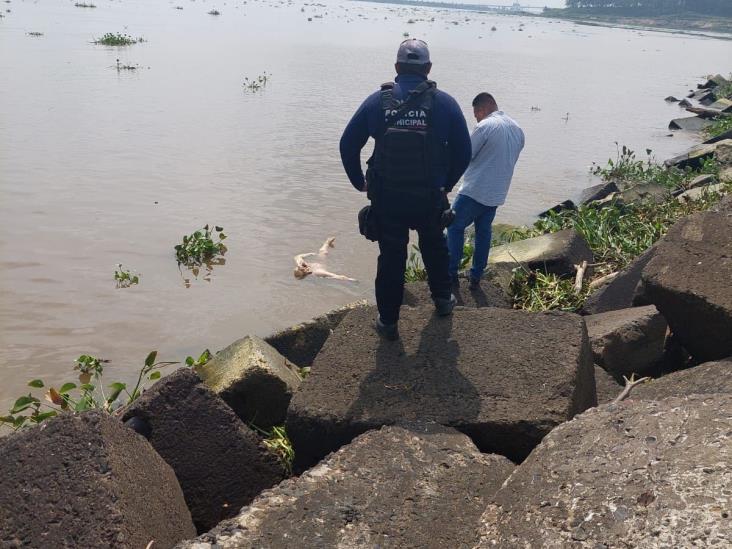 Encuentran cuerpo putrefacto en playa de Alvarado