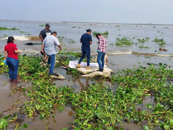 Encuentran cuerpo putrefacto en playa de Alvarado