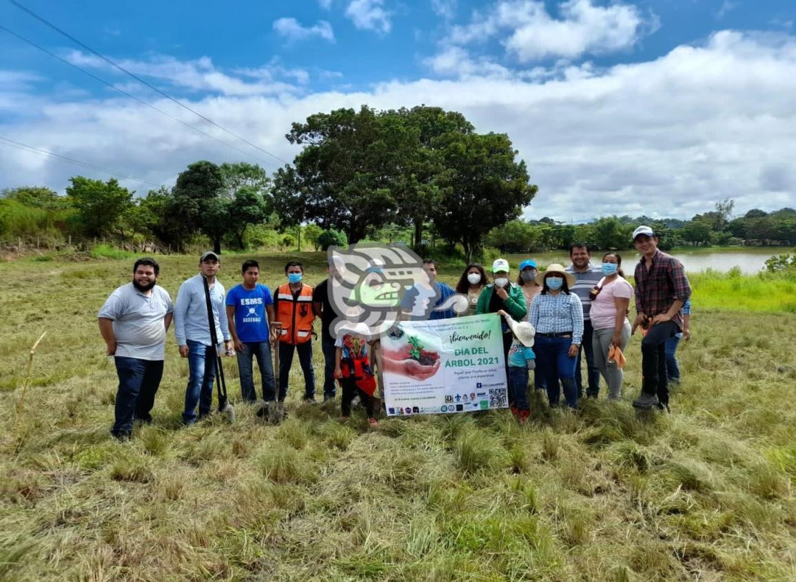 Reforestan en Jáltipan el parque recreativo del Pit 5