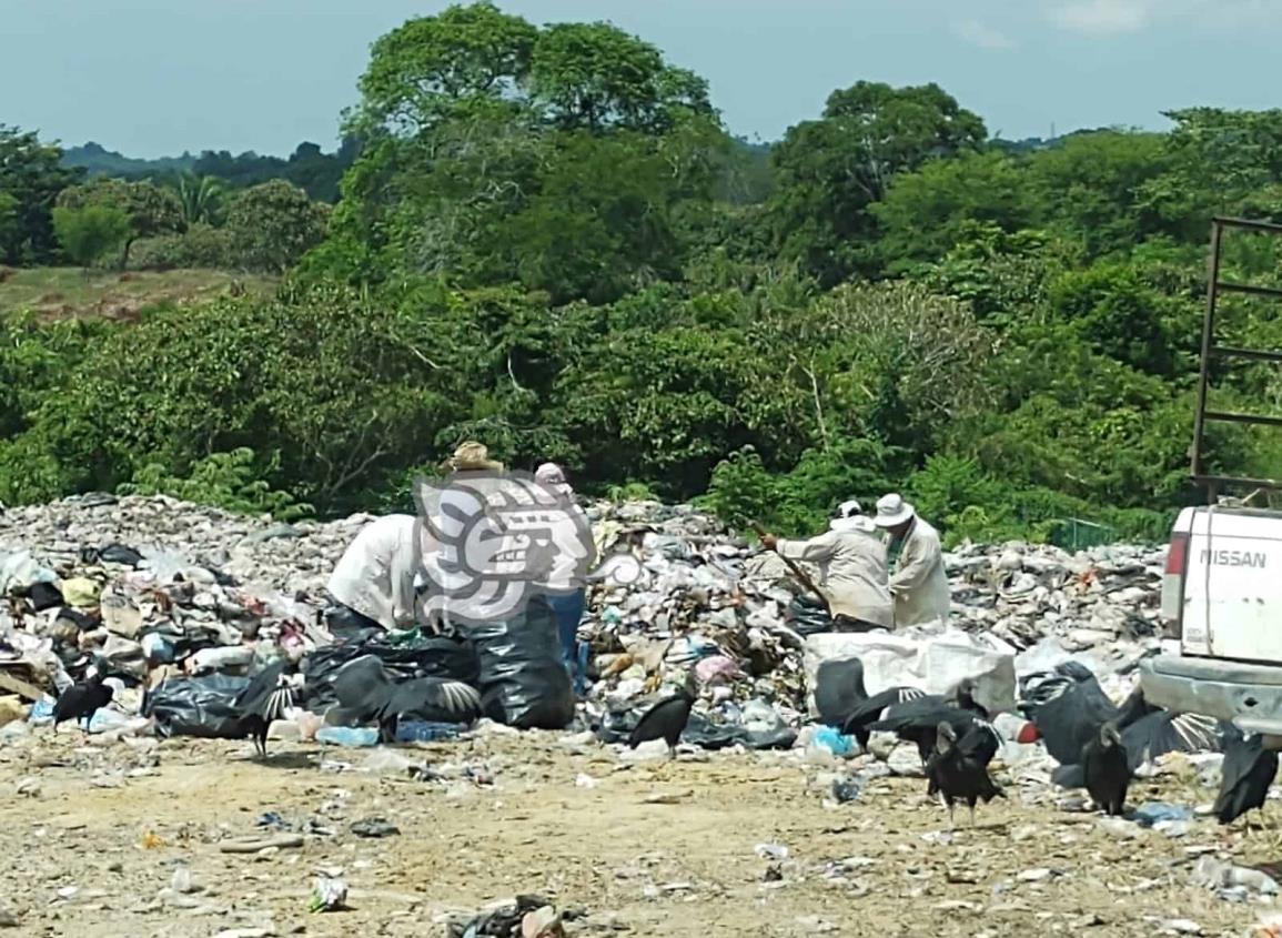 Familias viven de la basura en Moloacán