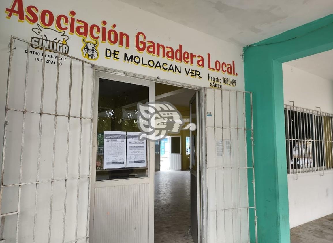 Pandemia ha impedido renovación de directiva de ganadera de Moloacán 