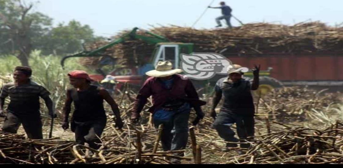 Amenazan cañeros de no iniciar la zafra en Ingenio La Gloria