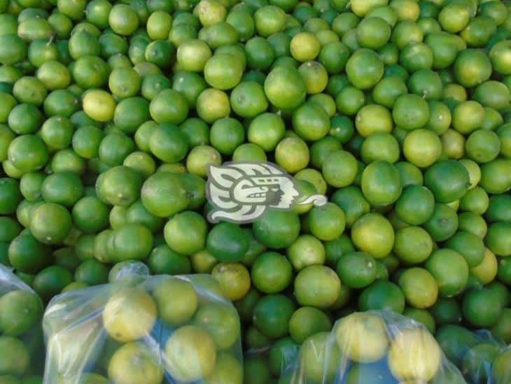 Fomentará ANIERM el valor agregado a exportadores agropecuarios