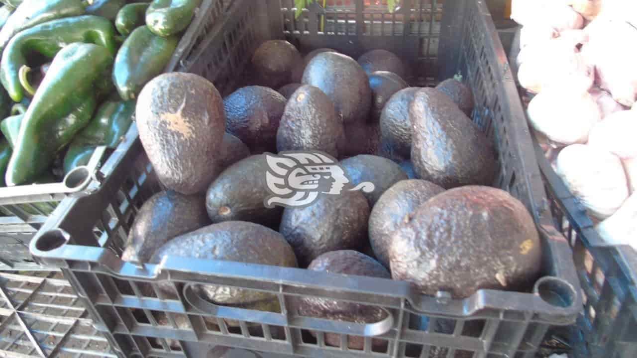 Se reanuda exportación de aguacate mexicano a EU