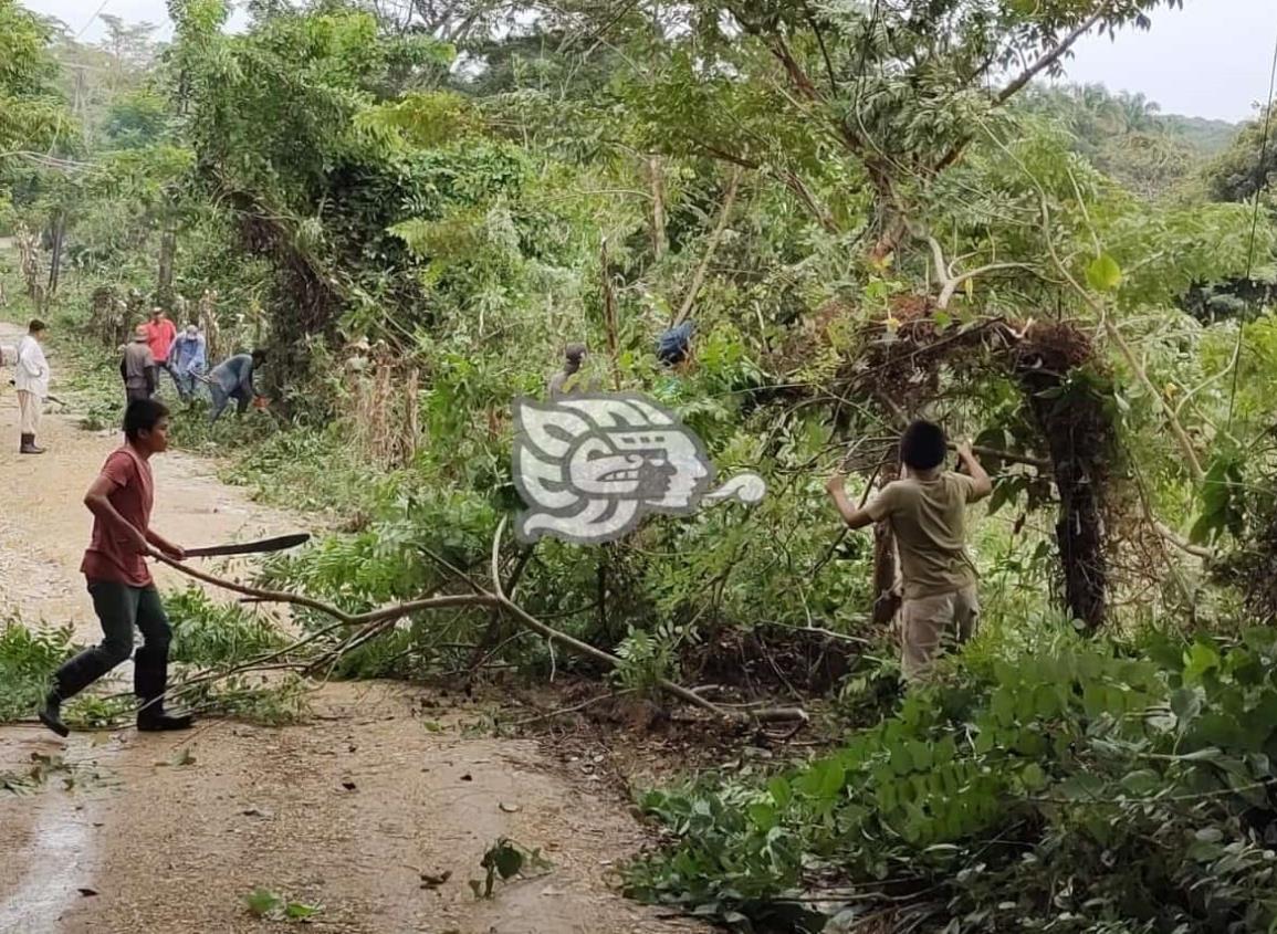 Pobladores realizan libranza en localidad de Moloacán