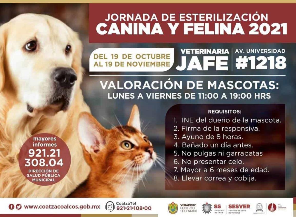 Van más de 350 mascotas atendidas en Jornada Esterilización Canina y Felina