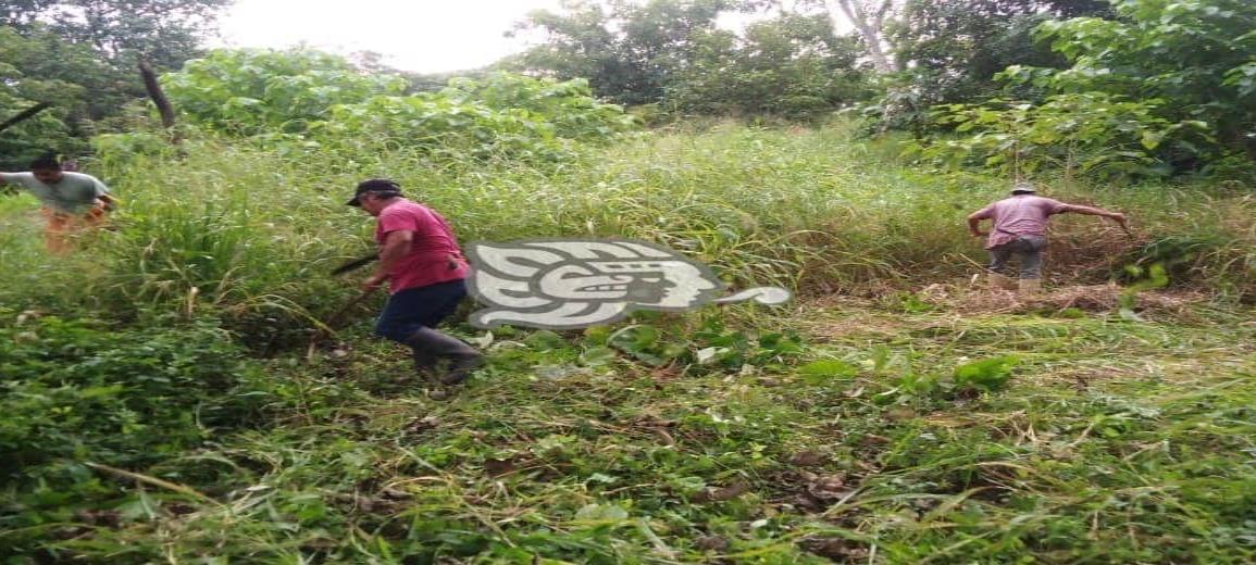 Limpian predios de Capufe en la localidad de Nuevo Teapa 