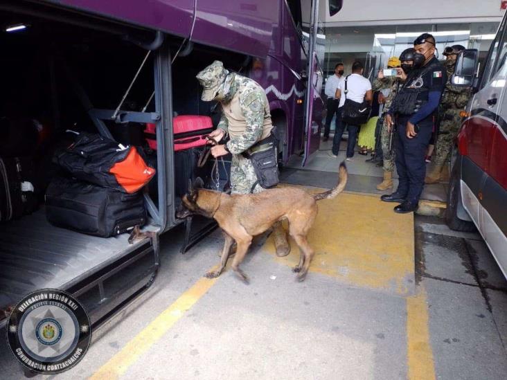 Implementa SSP revisiones en terminal de autobuses de Coatzacoalcos