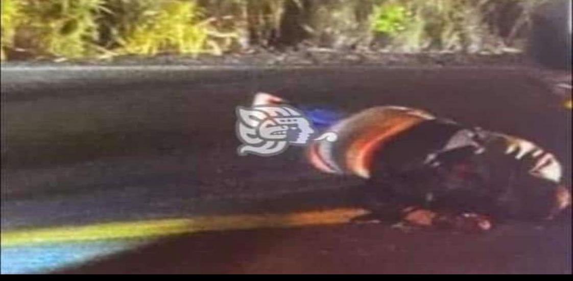 Muere peregrino en Cabada