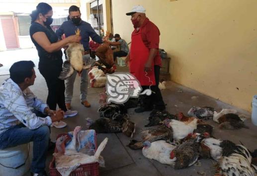 En Veracruz, pavos para cena navideña hasta en mil 500 pesos