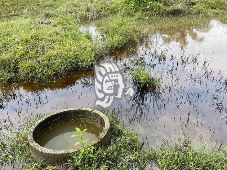 Pozos y parcelas de Ixhuatlán están contaminadas por el hidrocarburo