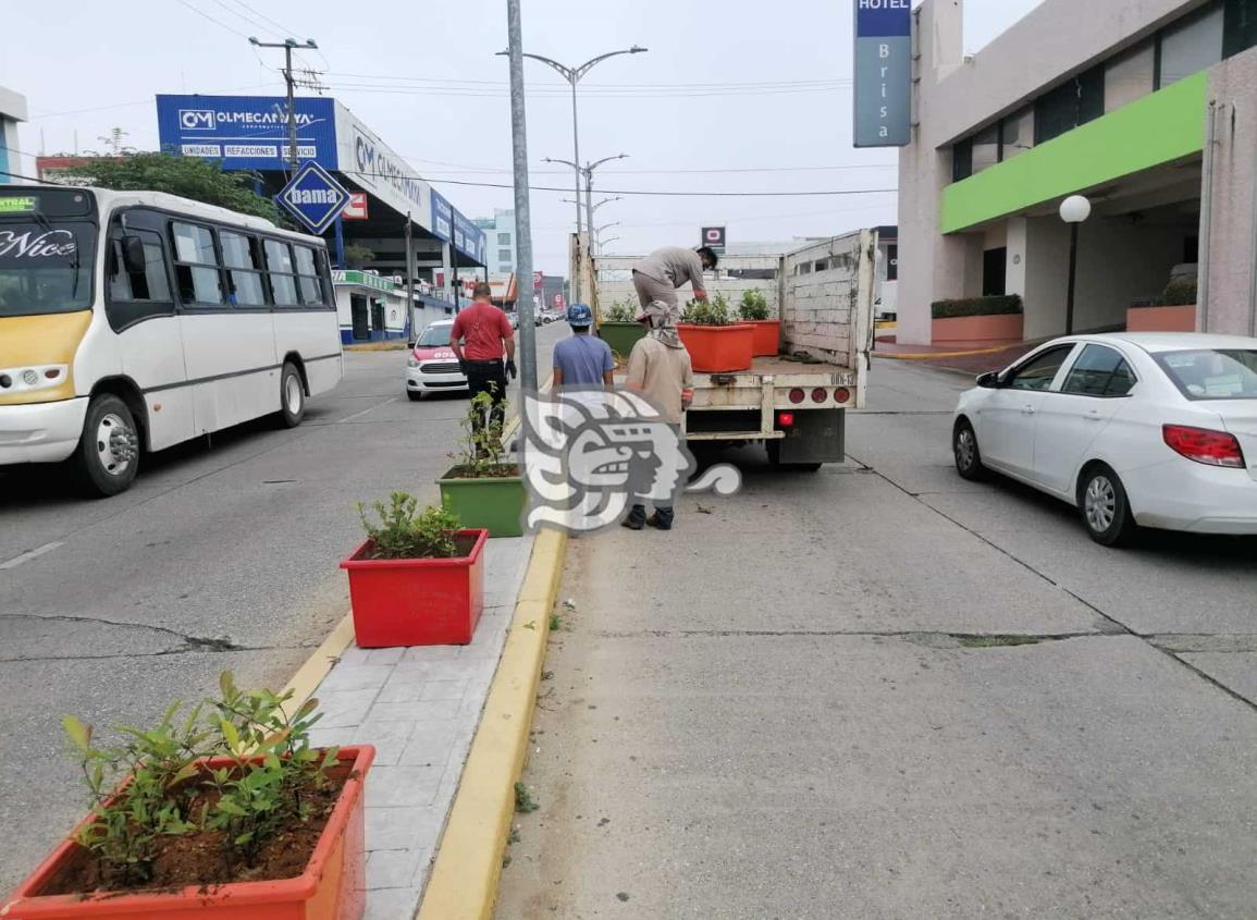 Siguen embelleciendo la ciudad