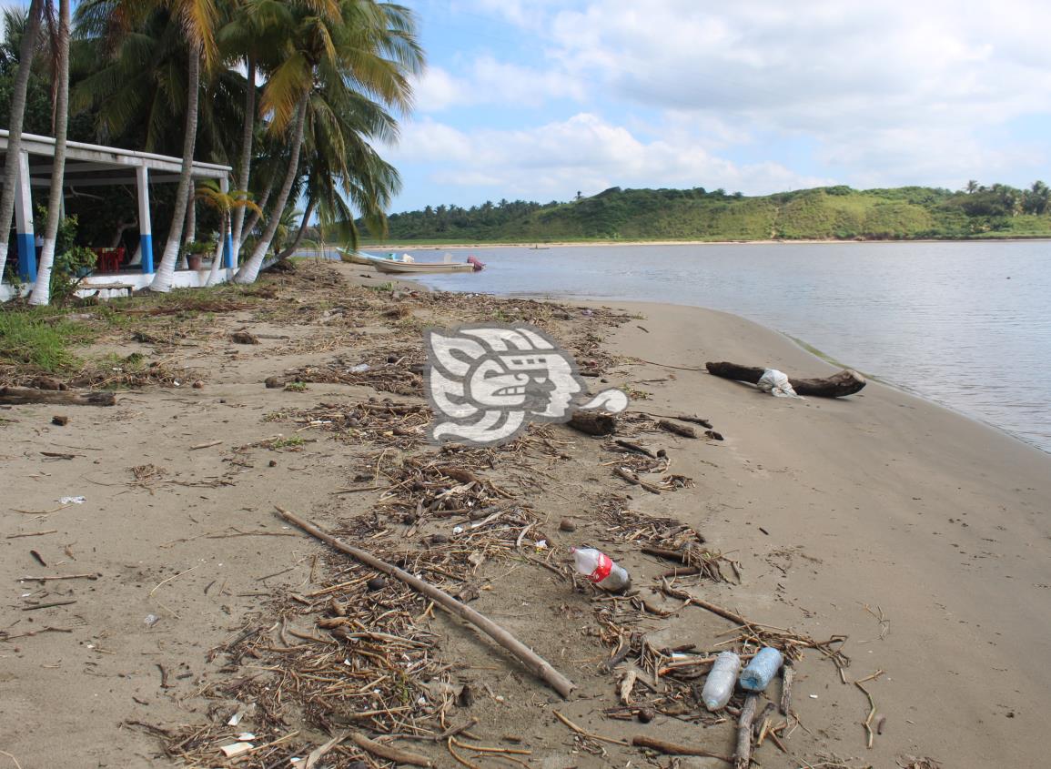 Palotada y basura invaden las orillas del río Tonalá