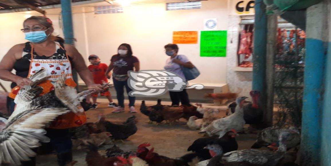 No hay demanda de pavos, lamenta comerciante en Minatitlán