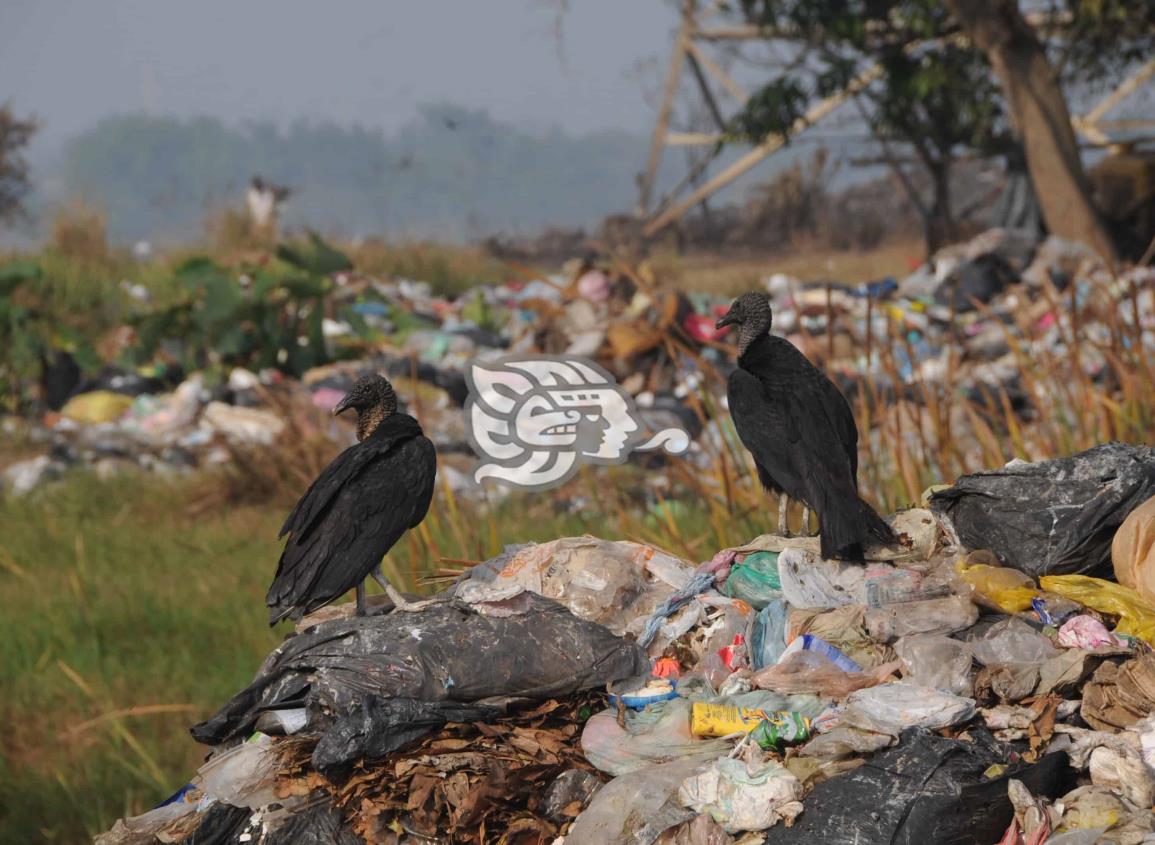 Preparan denuncias contra Coatzacoalcos y Minatitlán por delitos ambientales