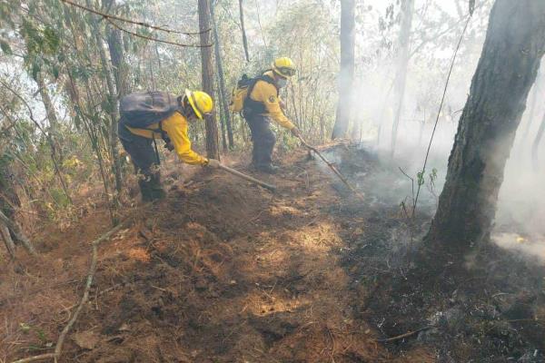 Continúan labores de liquidación de fuego en Calcahualco