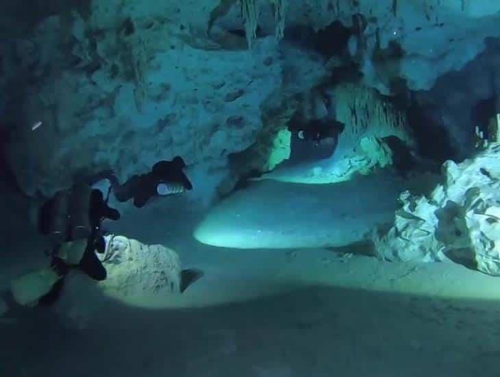 Familia excava para construir alberca y descubre un cenote en Yucatán