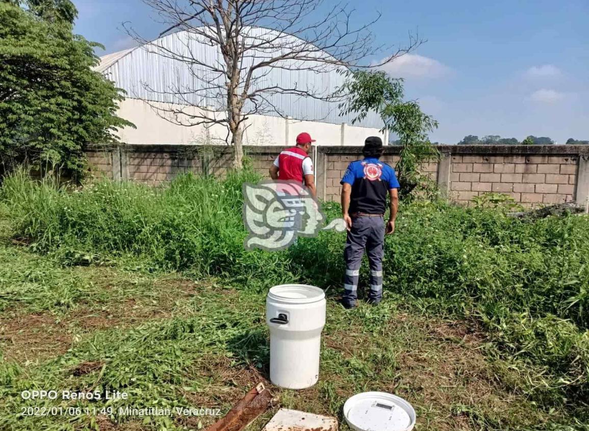 Capturan Nauyaca que merodeaba en escuela de Cosoleacaque