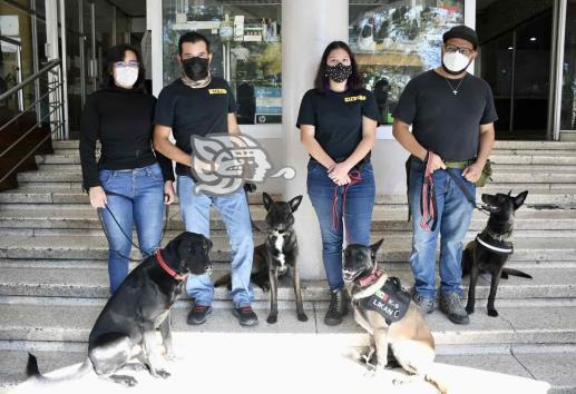 En Xalapa, invitan a congreso sobre adiestramiento canino