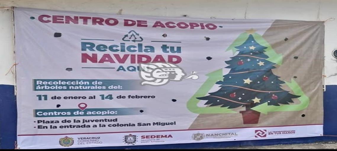 Piden autoridades contribución de nanchitecos en programa Recicla tu Navidad 