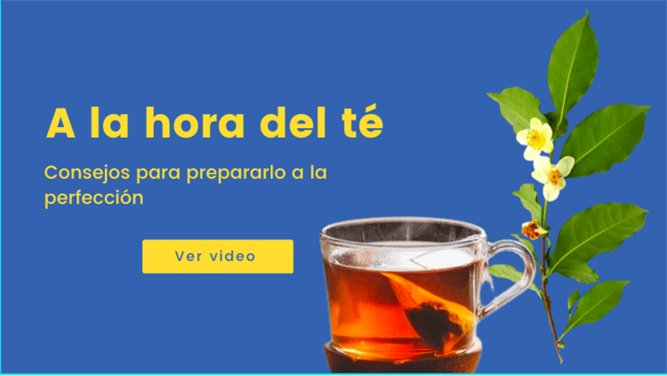 El Té y sus beneficios