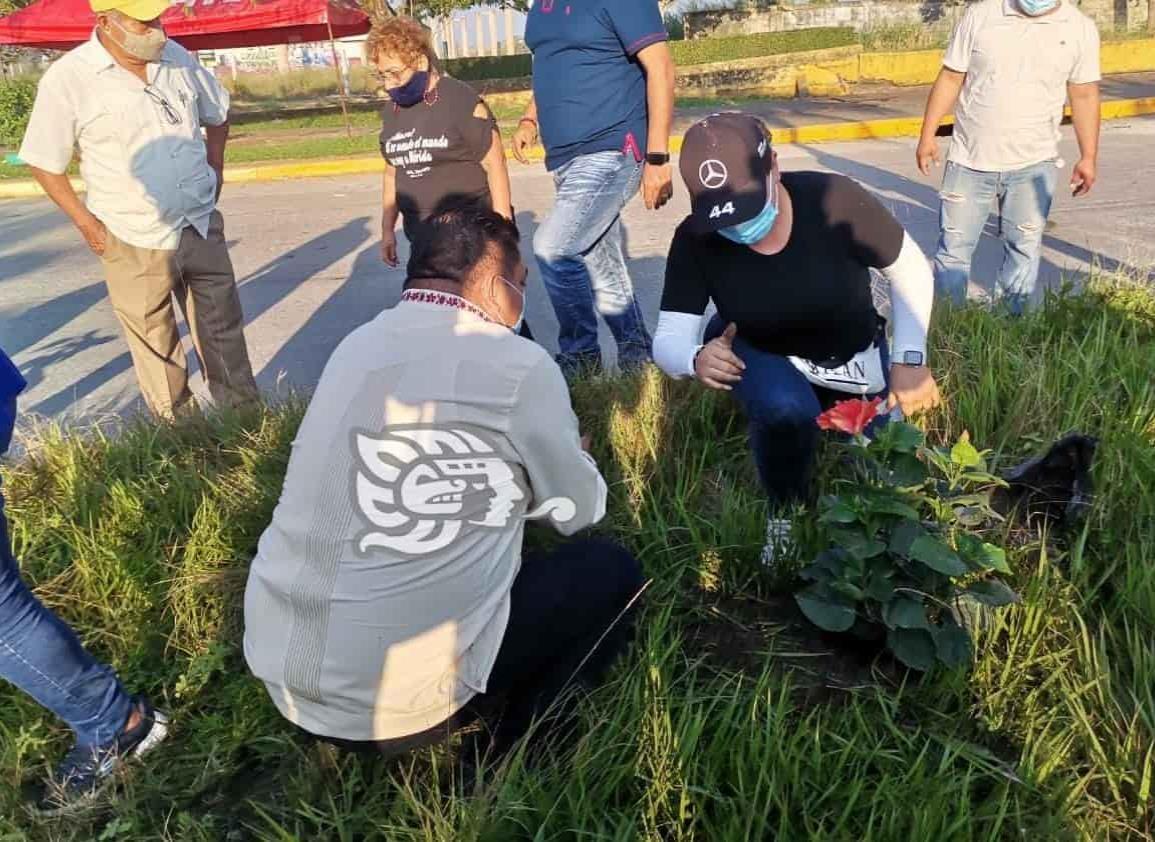 Invitan a nanchitecos a pedir plantas para ayudar a reforestación