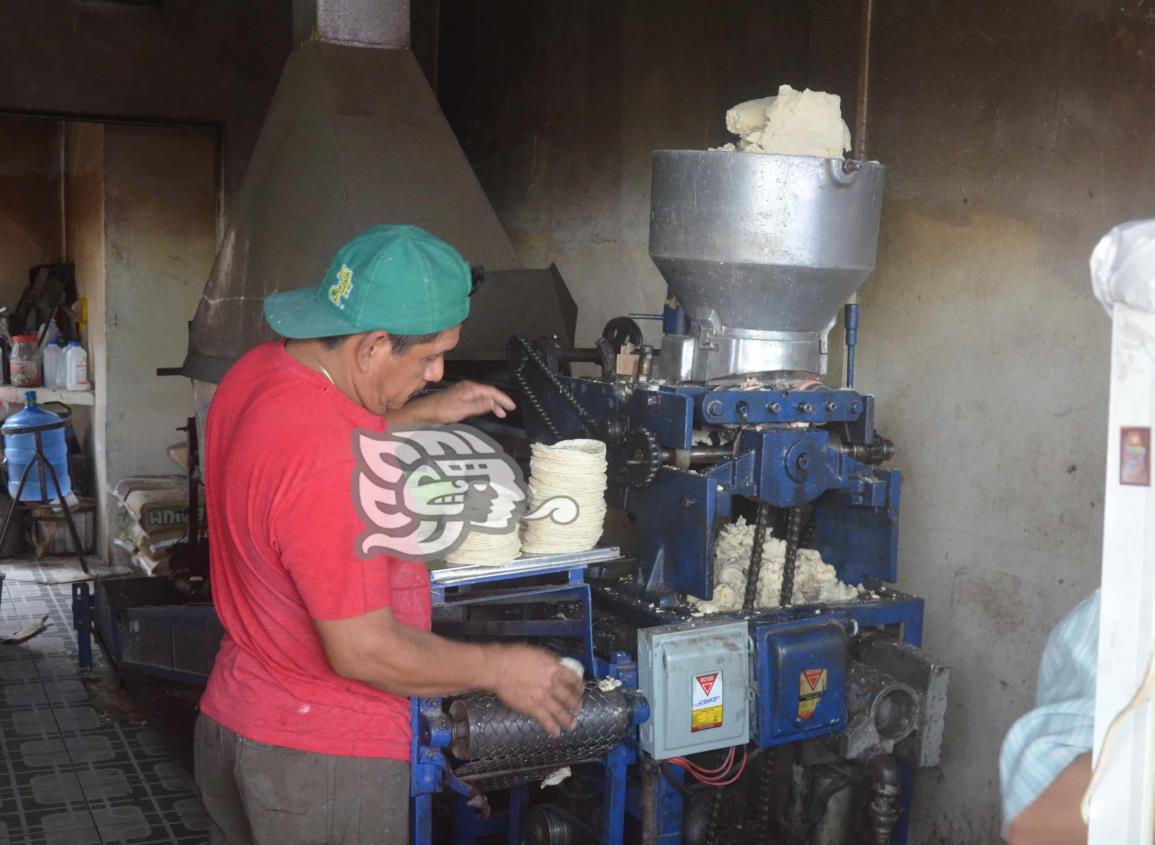 Evaluarán aumento al precio de la tortilla y masa en Agua Dulce