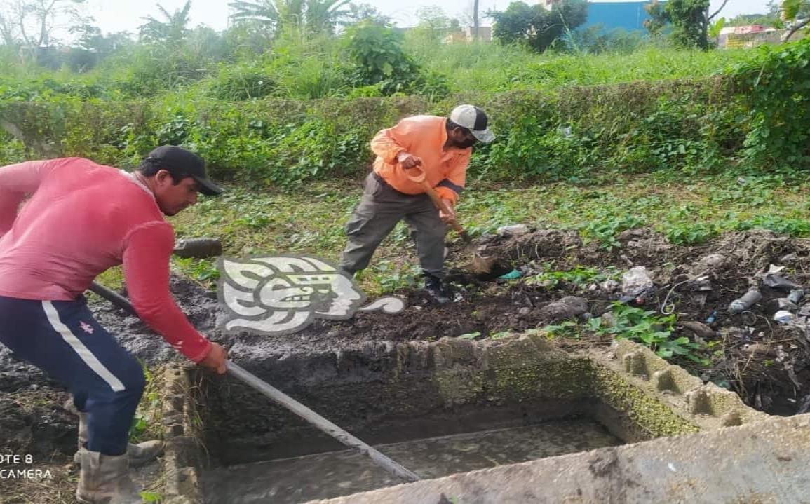 Dan mantenimiento al rastro de Cosoleacaque tras 6 meses inactivo