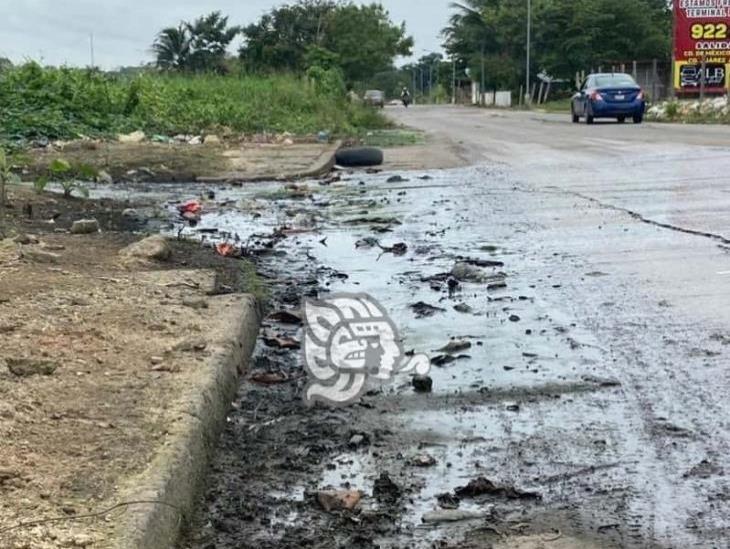 Exigen pronta rehabilitación al Circuito Sur en Minatitlán