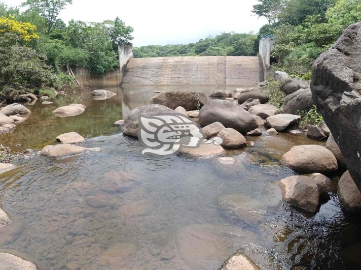 Yurivia estaría contaminada por Refinería de Minatitlán: investigador