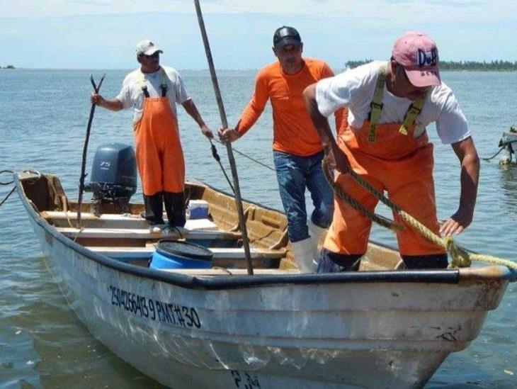 Veracruz consume pescado de otros lugares por escasez de producto
