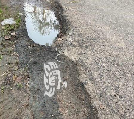 Hoyos y baches ´adornan´ colonias de Xalapa; vehículos, sufren las consecuencias