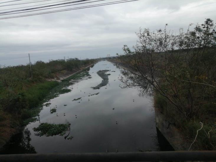 Canales de aguas negras en Veracruz, un tema olvidado por autoridades: ambientalistas