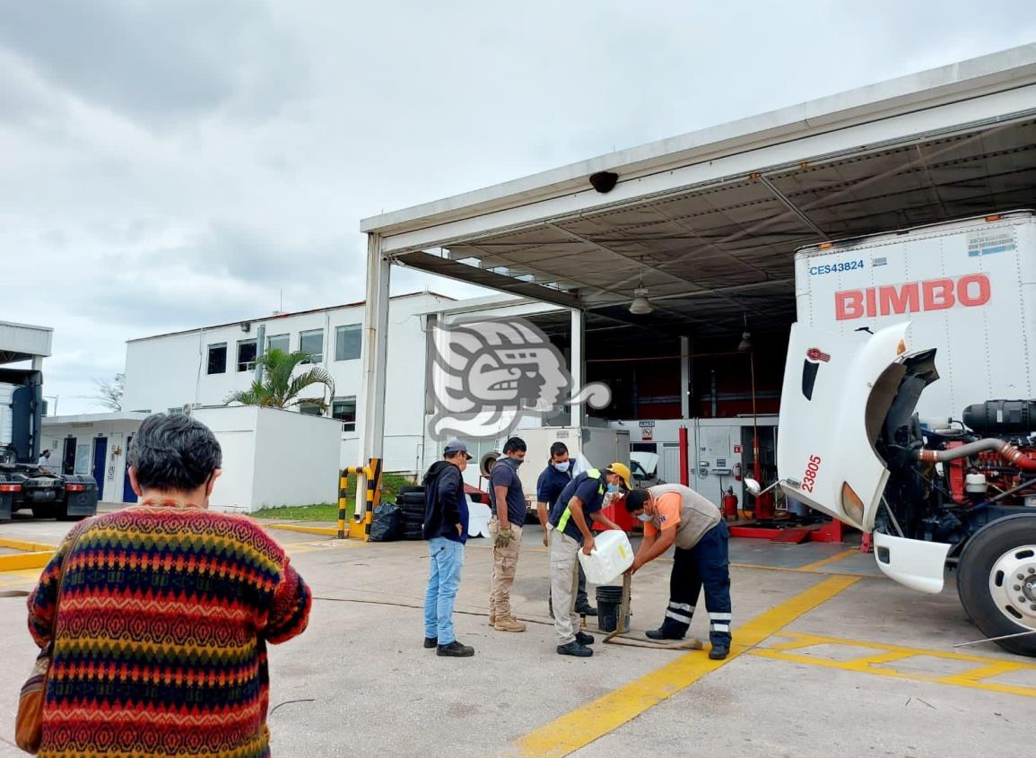 PC retira enjambre de abejas de empresa en Acayucan