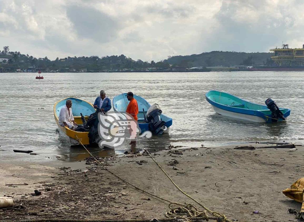 Busca Sader limitar la pesca de tiburones y rayas en Veracruz