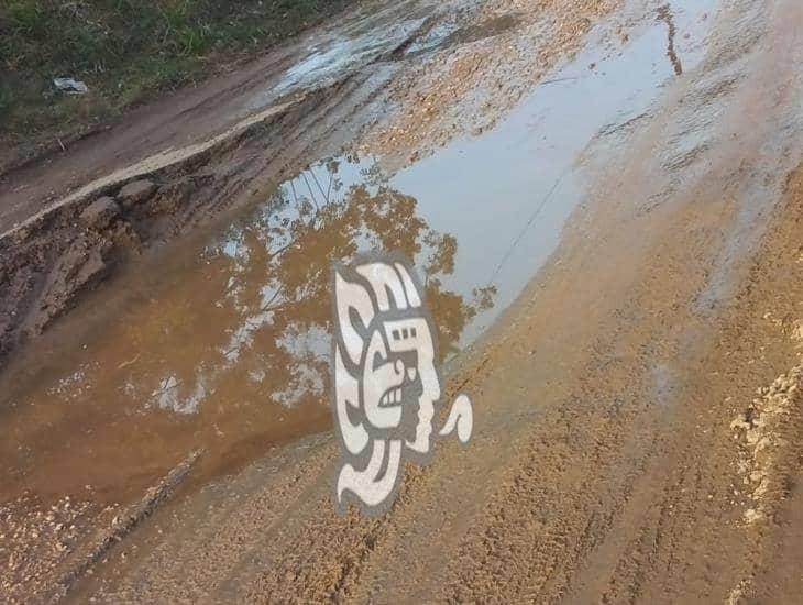 Lluvias y unidades pesadas destrozan camino en Moloacán 