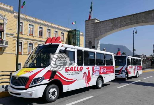 Alcalde de Orizaba no descarta que autobuses Gallo sean gratuitos (+Video)
