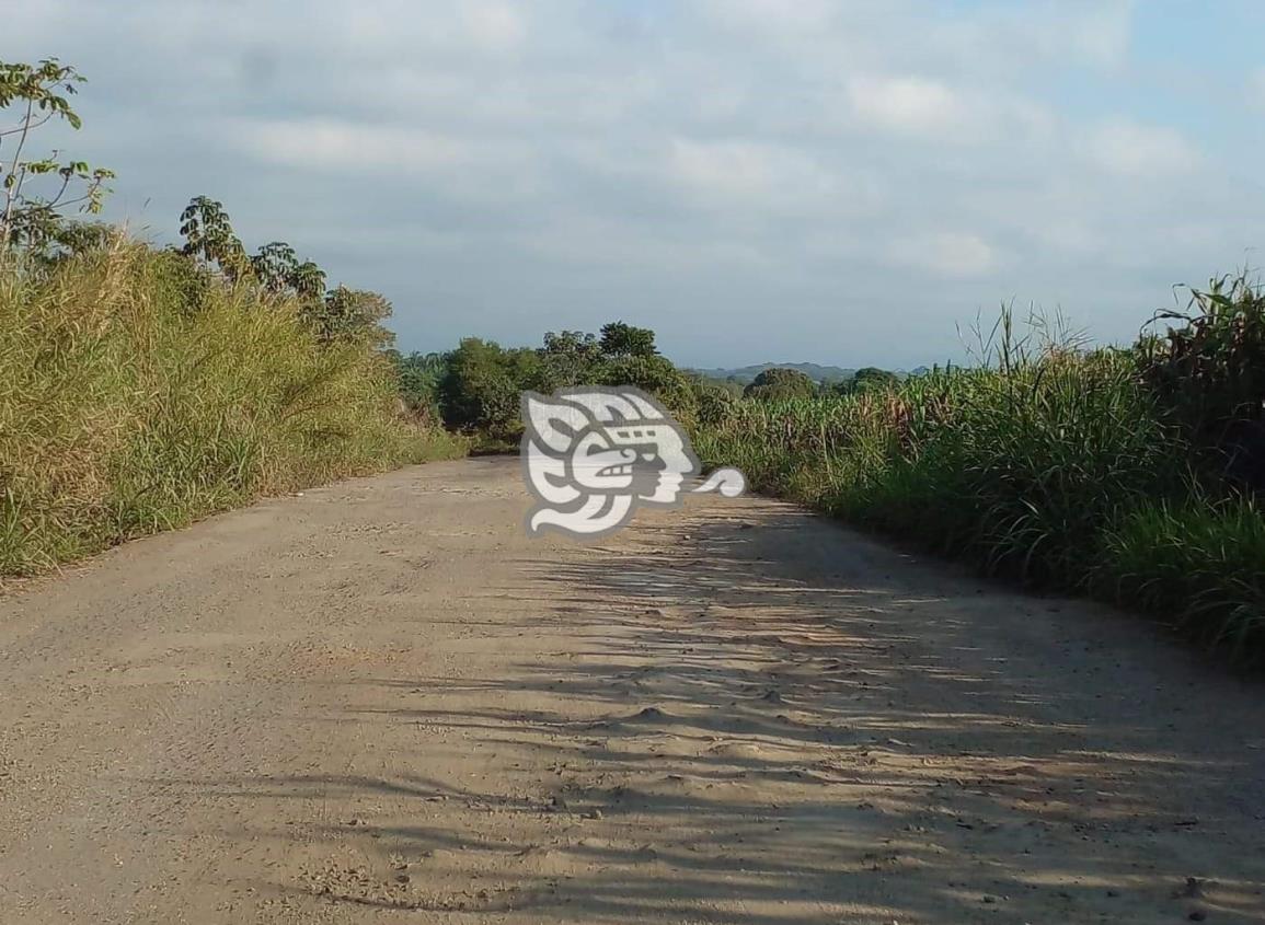 Alcalde urge la reconstrucción de la carretera Acayucan- Soteapan