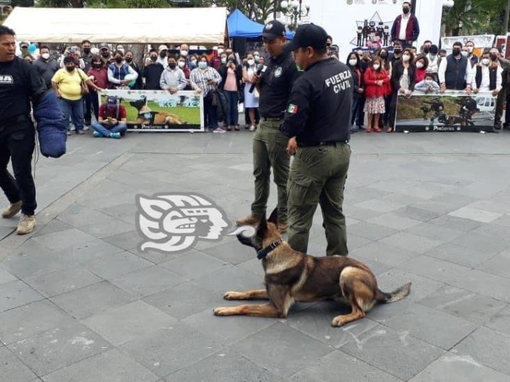 Realizan en Córdoba encuentro ciudadano ‘Orgullo Policial’