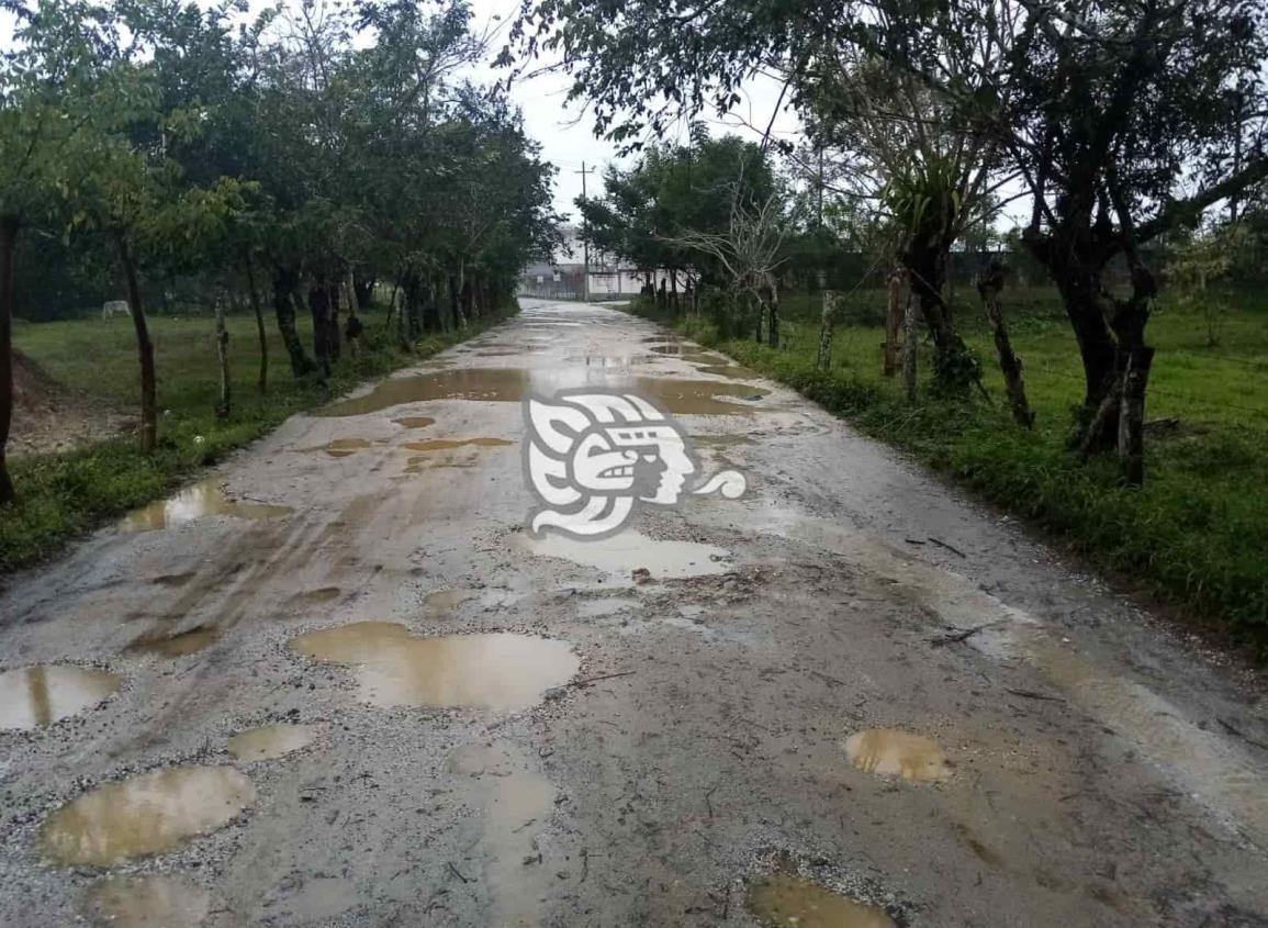 Gremio ganadero buscar mejorar caminos de Moloacán