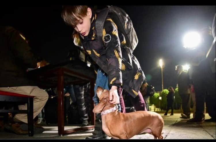 Ramona, la perrita mexicana que logró escapar de la guerra en Ucrania