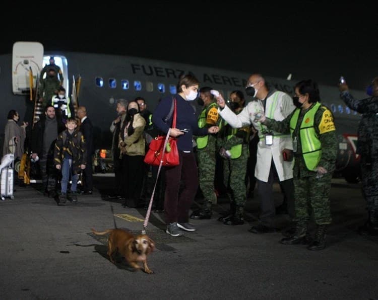 Ramona, la perrita mexicana que logró escapar de la guerra en Ucrania