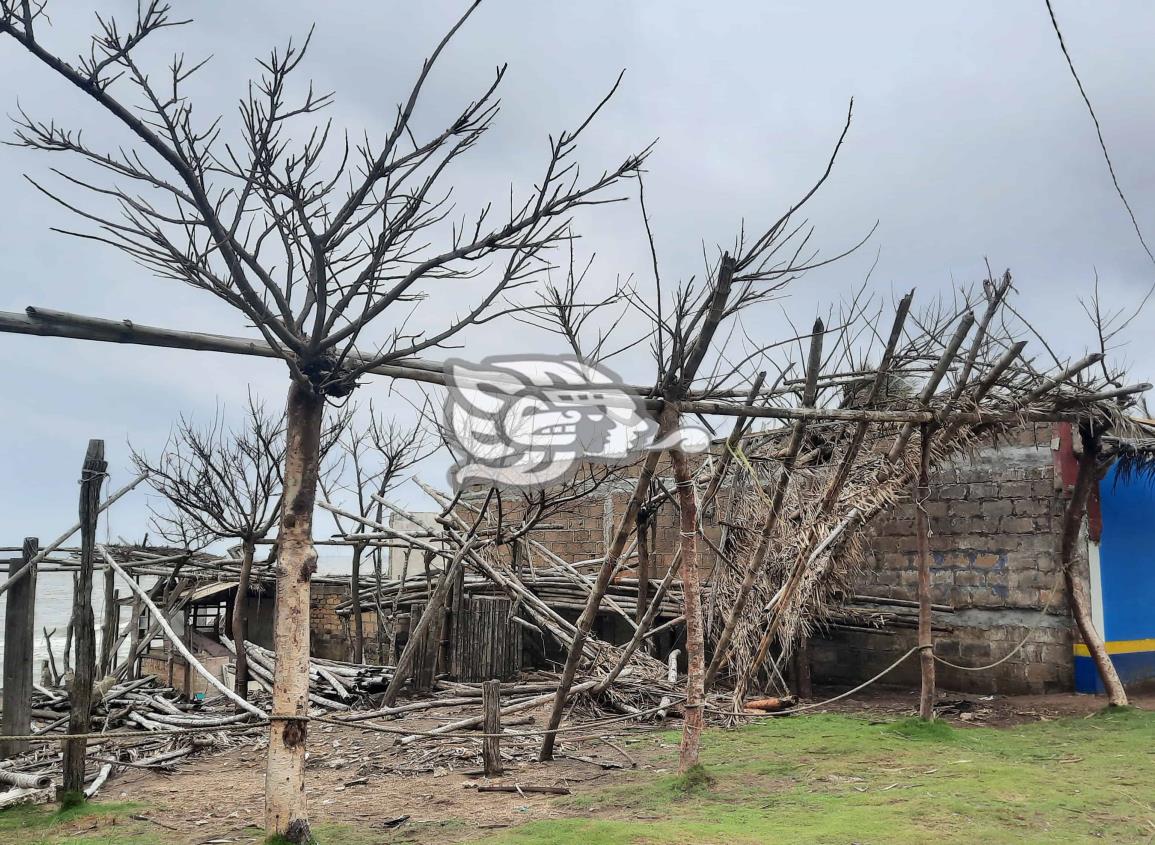 Playa Las Palmitas desolada tras destrucción por Frentes Fríos