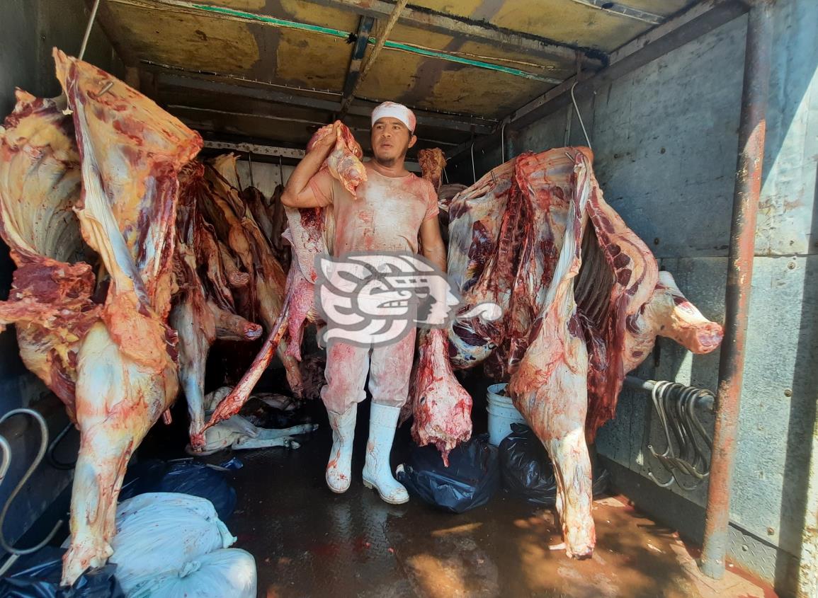 En Agua Dulce disminuyó hasta en un 80% la matanza de res