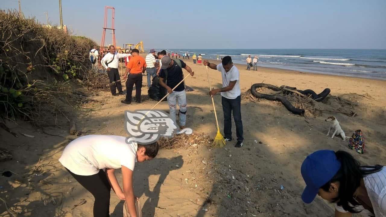 Toman muestreos en playas de Coatzacoalcos; buscan causas de mortandad